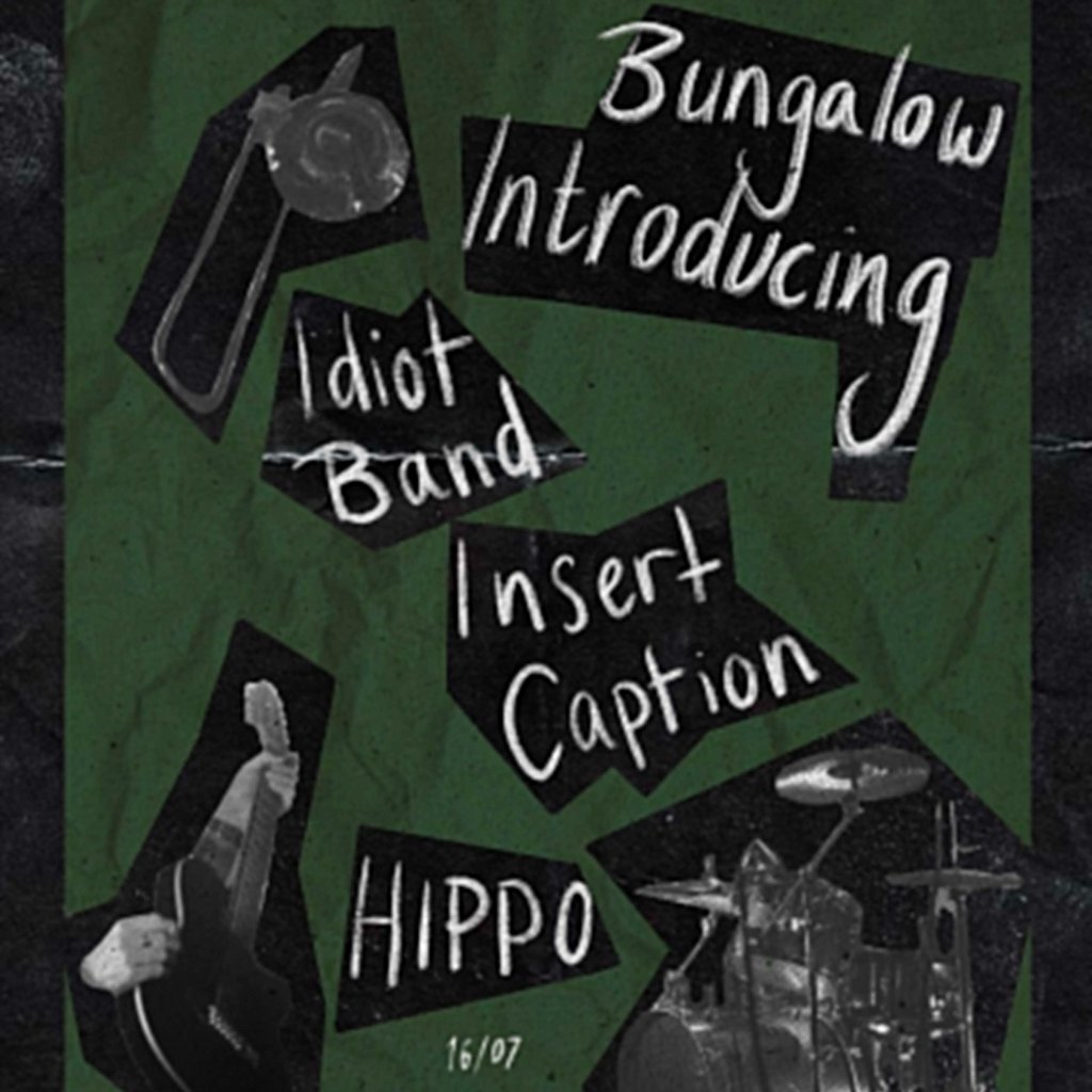 Introducing: Idiot Band, Insert Caption and HIPPO