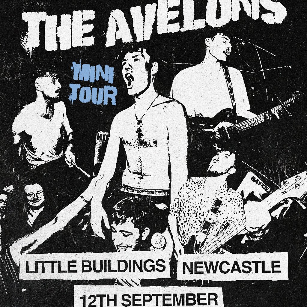 The Avelons - Newcastle Image