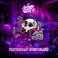 Down The Rabbit Hole;Psychedelic Wonderland | HUDDERSFIELD at Revolution Huddersfield