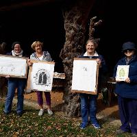 Picturing the Park