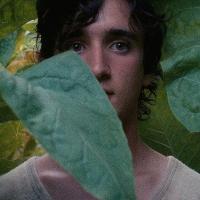 TOM's Film Club: Happy as Lazzaro (12A) at The Old Market
