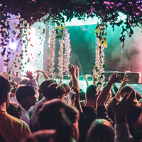 Summer Disco Day Party at Lakota