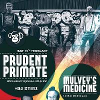 Prudent Primate w/ Mulvey's Medicine + DJ Striz at The Magic Garden