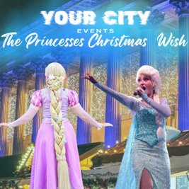 The Princesses Christmas Wish - 10:00am - 11:00am