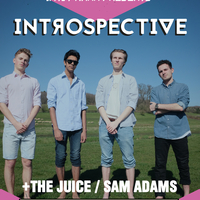 Introspective // The Juice // Sam Adams at Royal Park Cellars