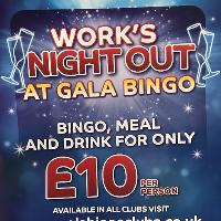 Bingo works night out