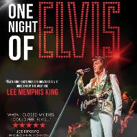 one night of elvis starring lee memphis king at Brentwood Centre