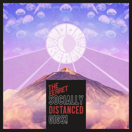 Moon & The Beams + Will Webster Band - Socially Distanced Gig