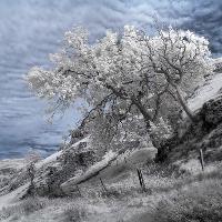 Light in the Lens photography exhibition