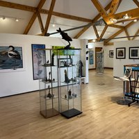 Tracy Newman: Wetland Wildlife Art Exhibition at WWT London Wetland Centre