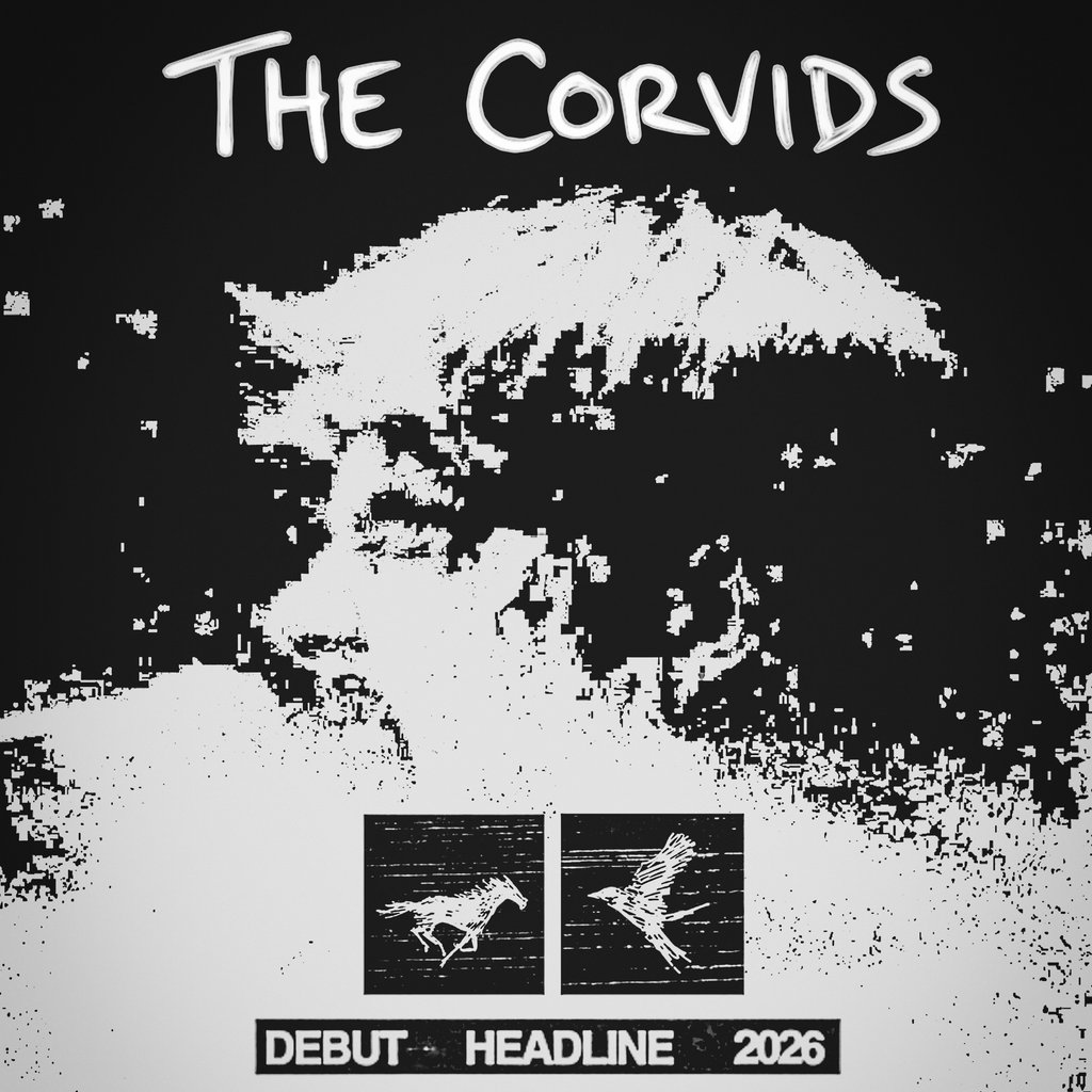 The Corvids - Leeds Image