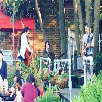 Live Jazz Jam with Special w/Dance and Art
