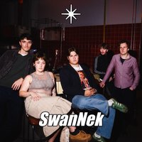 SwanNek - live
