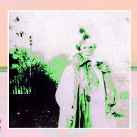 Videoiid / Killerkume / Salt The Snail