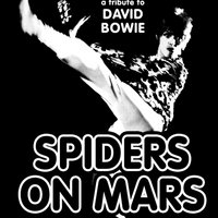 A Tribute To David Bowie by Spiders On Mars at The Bungalow Bar
