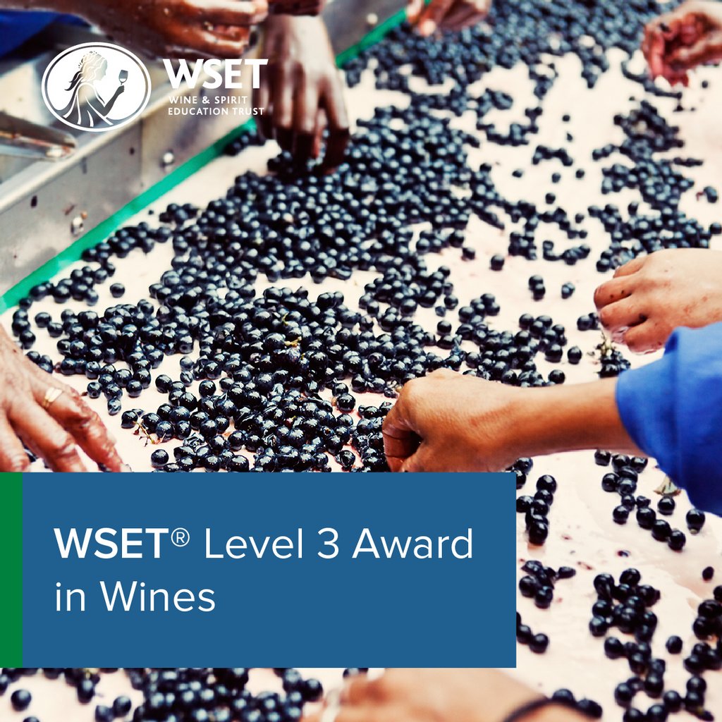 WSET Level 3 Award in Wines at Novotel Reading Centre, Reading