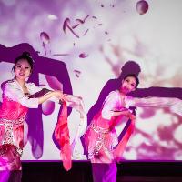 Chinese New Year Show 2019