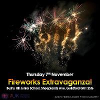 Bushy Hill Junior School Fireworks Extravaganza! at Bushy Hill Junior School