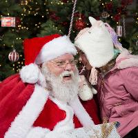 Santa's Grotto at Dalkeith Country Park