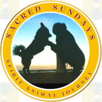 Spirit Animal Journey at The Inner Guru