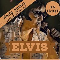 Disco & Elvis Tribute