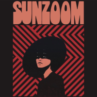 sunzoom album launch with reid anderson sunzoom album launch with reid anderson