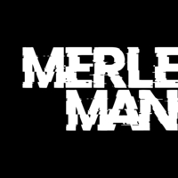 Merle Mania A Christmas Spectacle at Bowlers Exhibition Centre