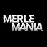 Merle Mania A Christmas Spectacle at Bowlers Exhibition Centre