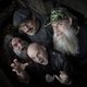 Hayseed Dixie Event Title Pic