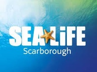 Sea Life Scarborough Standard Admission at Sealife Center Scarborough