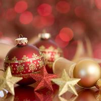 The Snow Ball Christmas Party