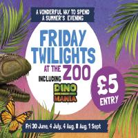 Friday Twilights