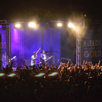 Fields Of Gold Festival 2022 Fields Of Gold Festival 2022