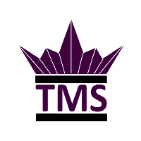 TMS - The Revolution