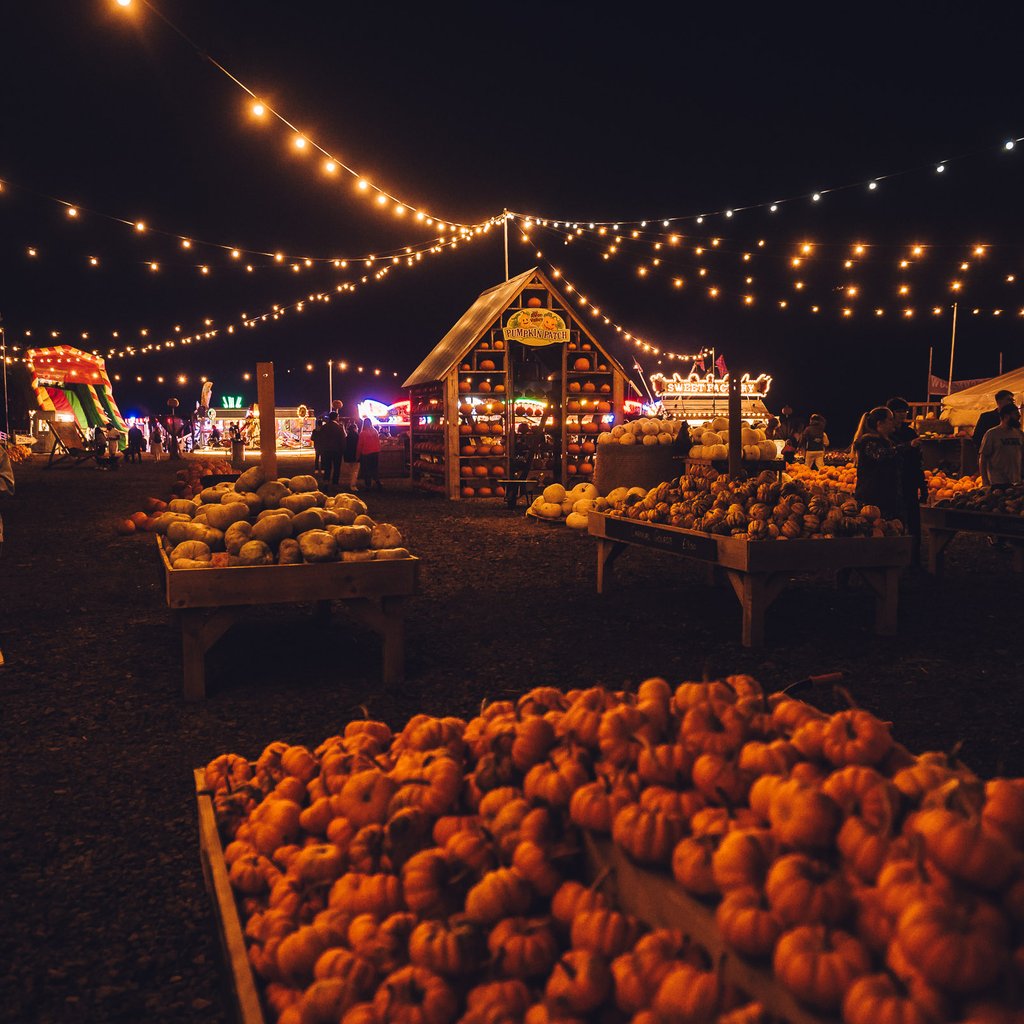 Pumpkin Patch Nights at Avon Valley Adventure Park, Bristol