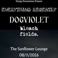 Everything Recently at The Sunflower Lounge