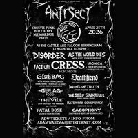 Punk Big Birthday Bash All-Dayer at The Castle And Falcon