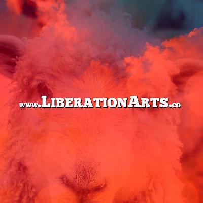 The LiberationArts Festival