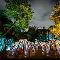 Secret Winter garden
