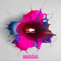 BIG FISH at Club Aquarium