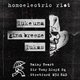 End of Year Homoelectric Riot Event Title Pic