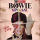 THE PLEASING - Bowie Special Event Title Pic