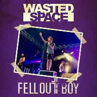 Fellout Boy at Wasted Space