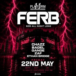 Ferb b2b all night long