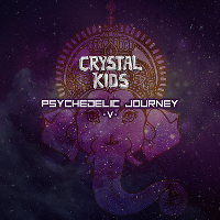 Crystal Kids: Psychedelic Journey V at Rebellion