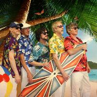 The Beach Boys® Tribute Show at Brindley Theatre