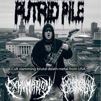 Putrid Pile at the New Adelphi Club Friday 15th May at The New Adelphi Club