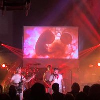 GENESIS VISIBLE TOUCH at Chinnerys at Chinnerys