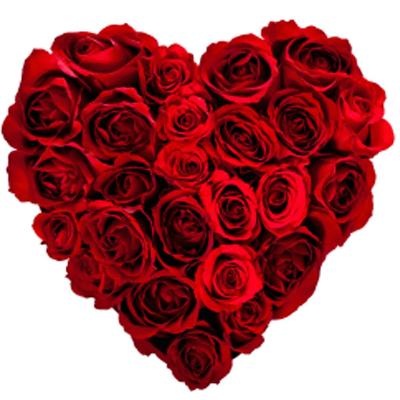 Valentines Dinner in our Restaurant