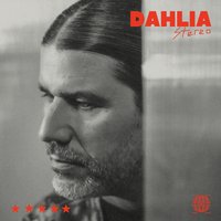 Dahlia Stereo sessions: Quantic at Dahlia Stereo